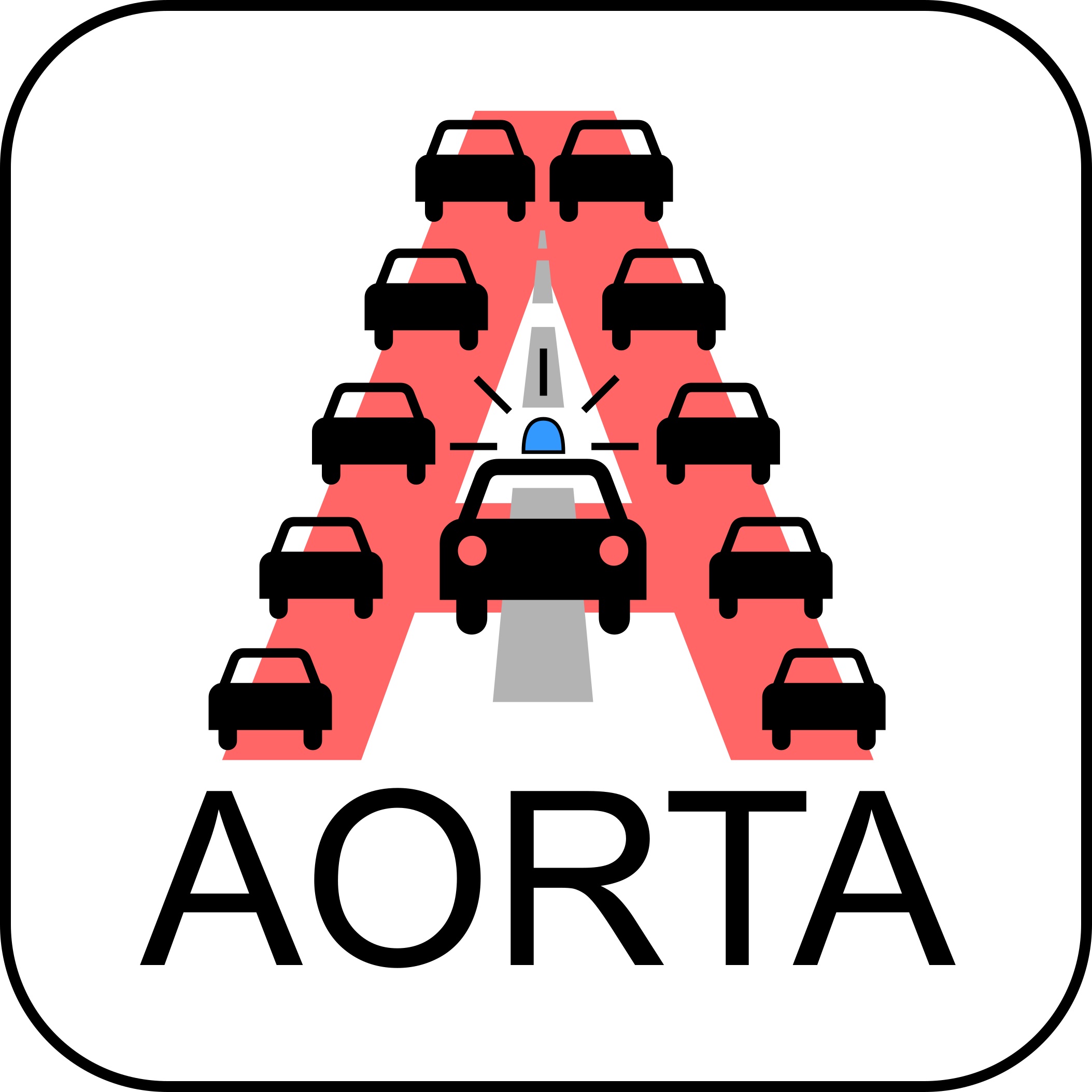 Projekt AORTA